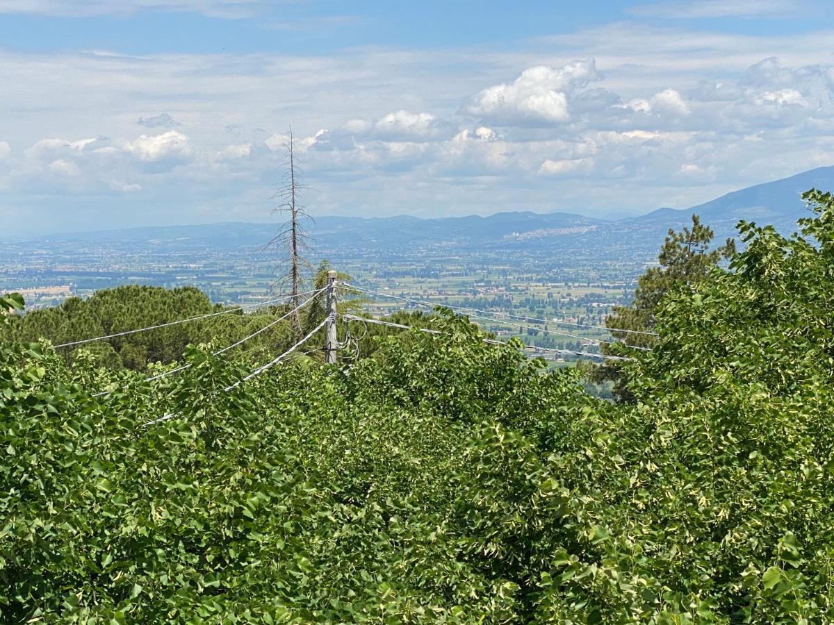 App. Con Terrazza Panoramica In Centro-Montefalco Eksteriør billede